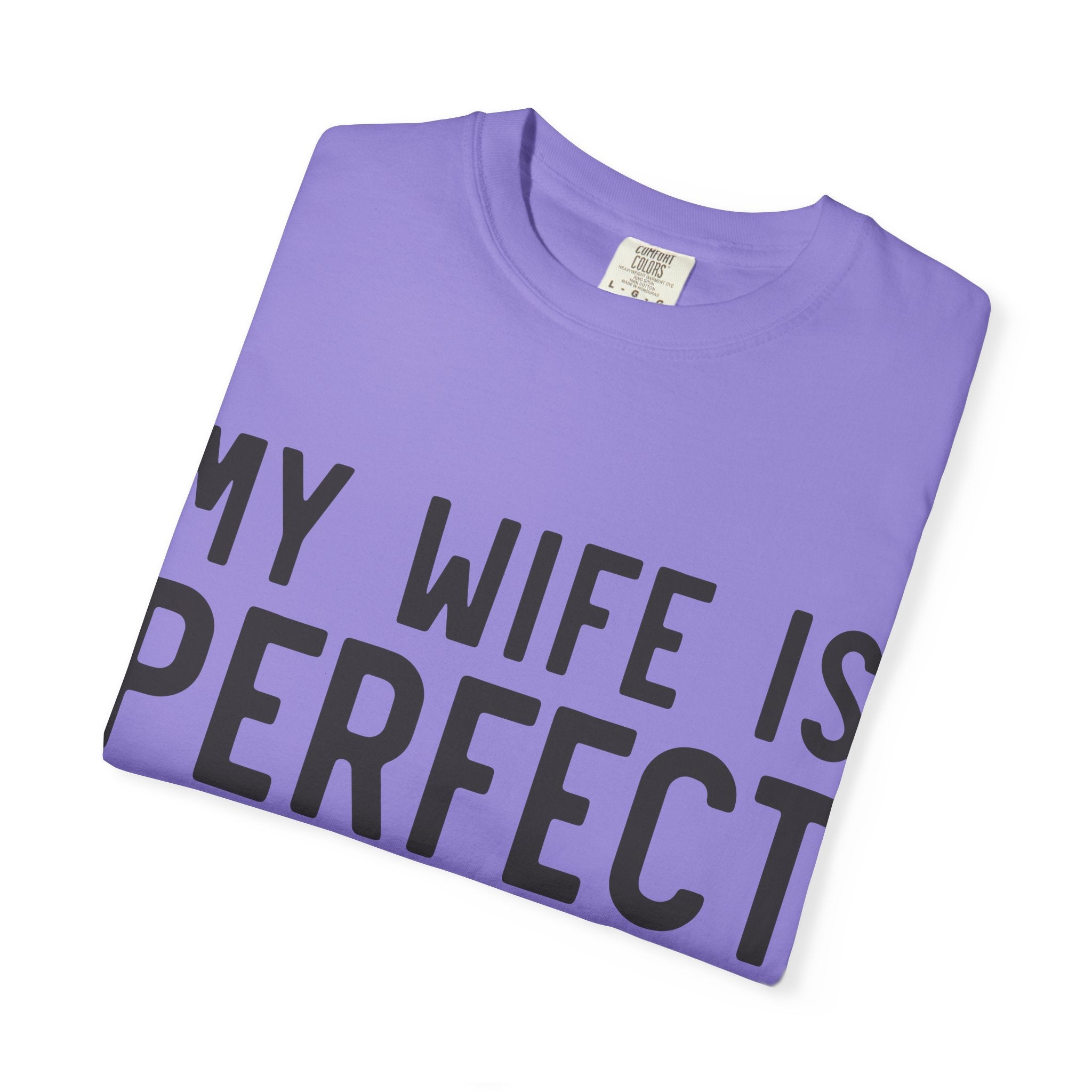 My Wife Is Perfect (she bought me this shirt) T-Shirt