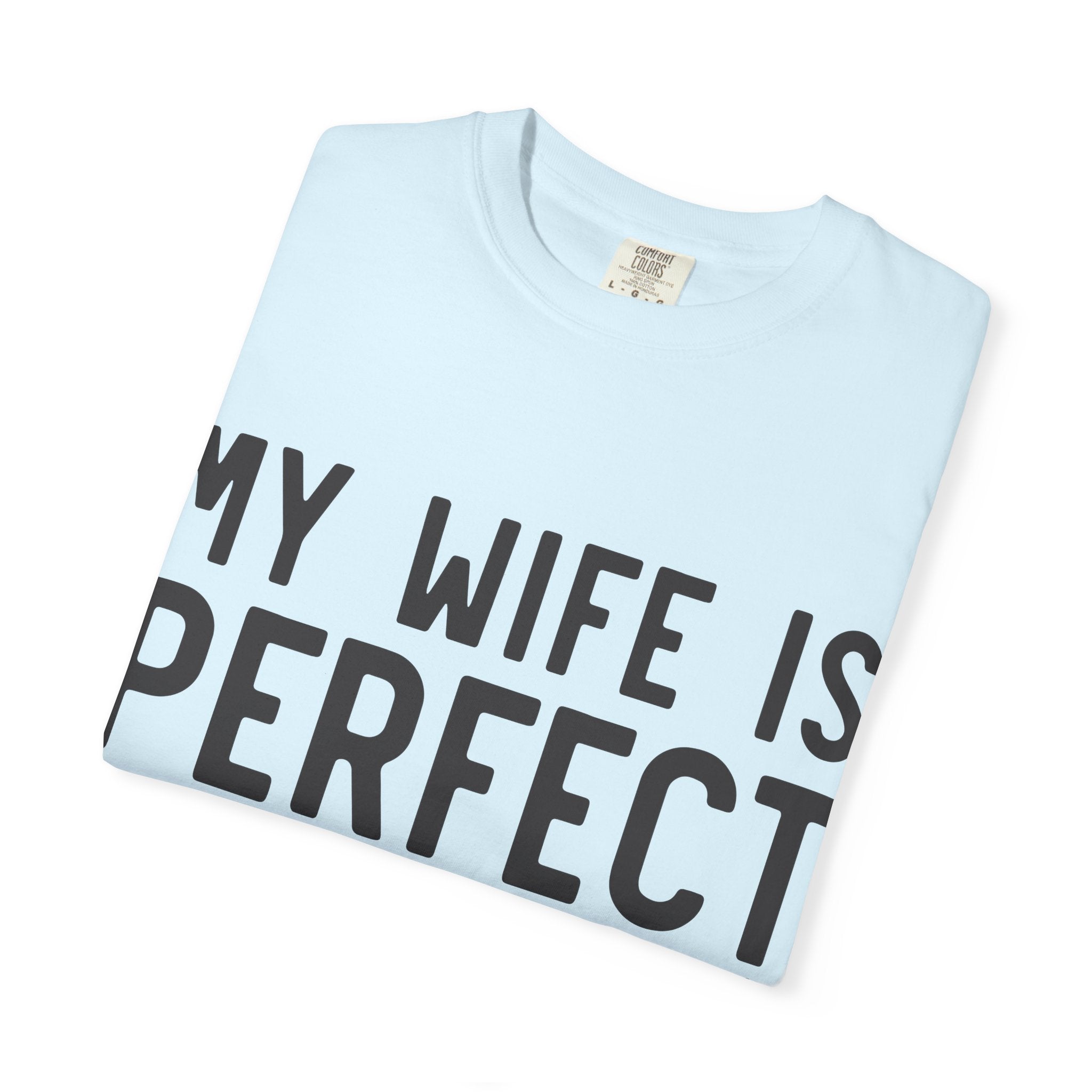 My Wife Is Perfect (she bought me this shirt) T-Shirt