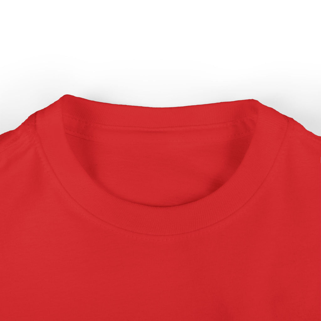 Toddler Tee "Two Years of Awesomeness" Birthday Shirt