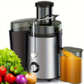 Stainless Steel Electric Juicer Blender